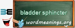 WordMeaning blackboard for bladder sphincter